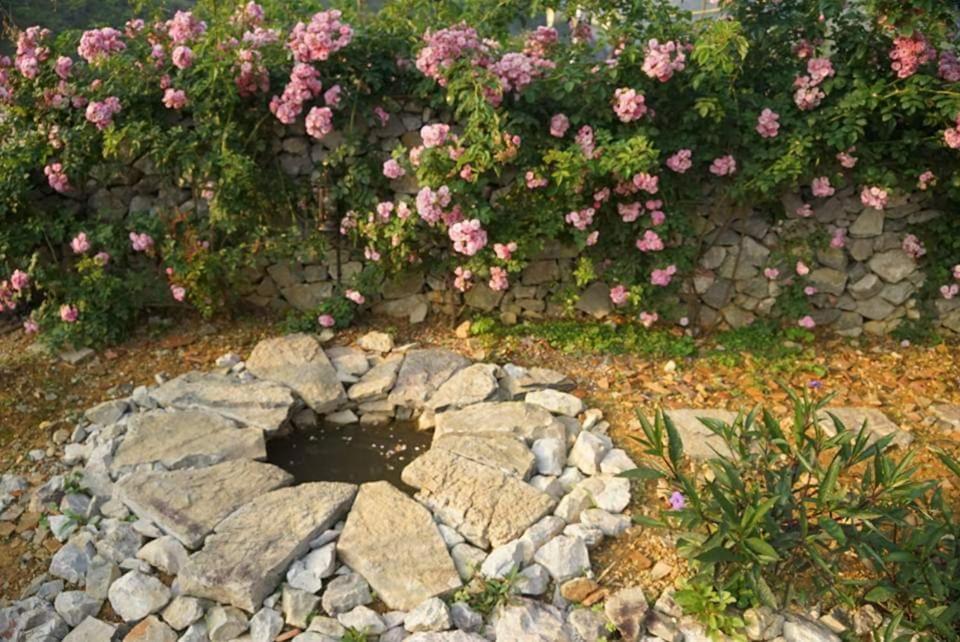 Lo Lo Homestay & Cafe Meo Vac Kültér fotó